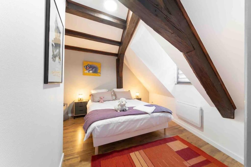 Les Lionceaux, 120M2 A Colmar, Place De Parking Gratuite Экстерьер фото