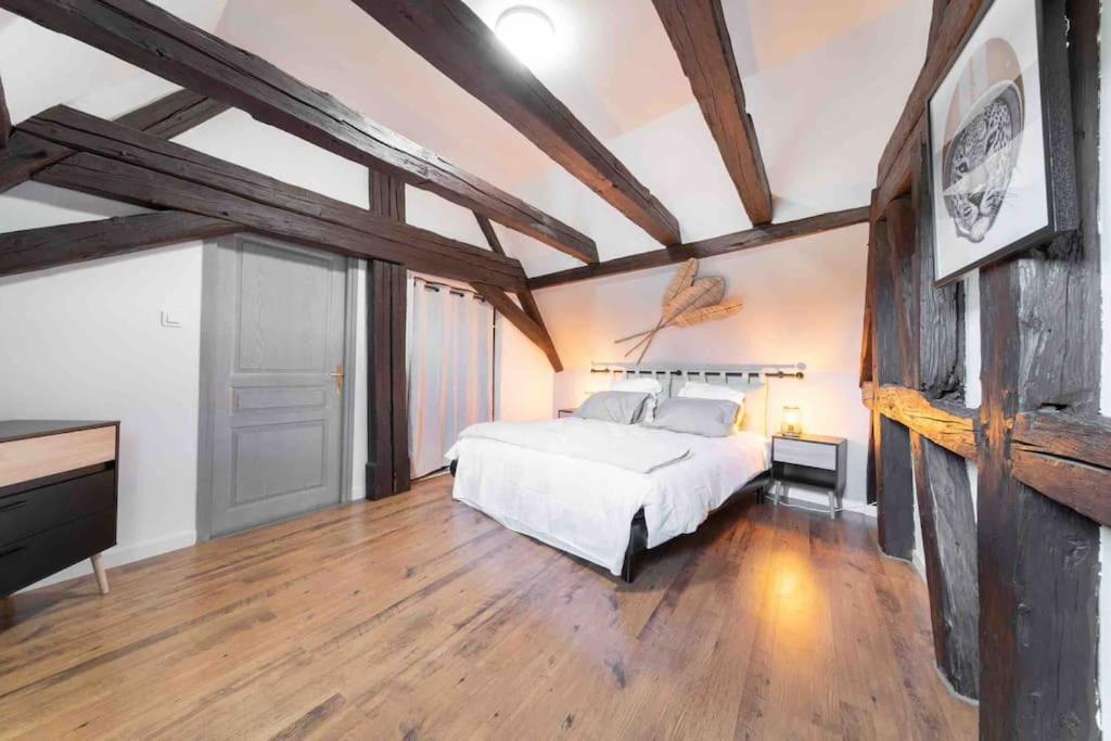 Les Lionceaux, 120M2 A Colmar, Place De Parking Gratuite Экстерьер фото