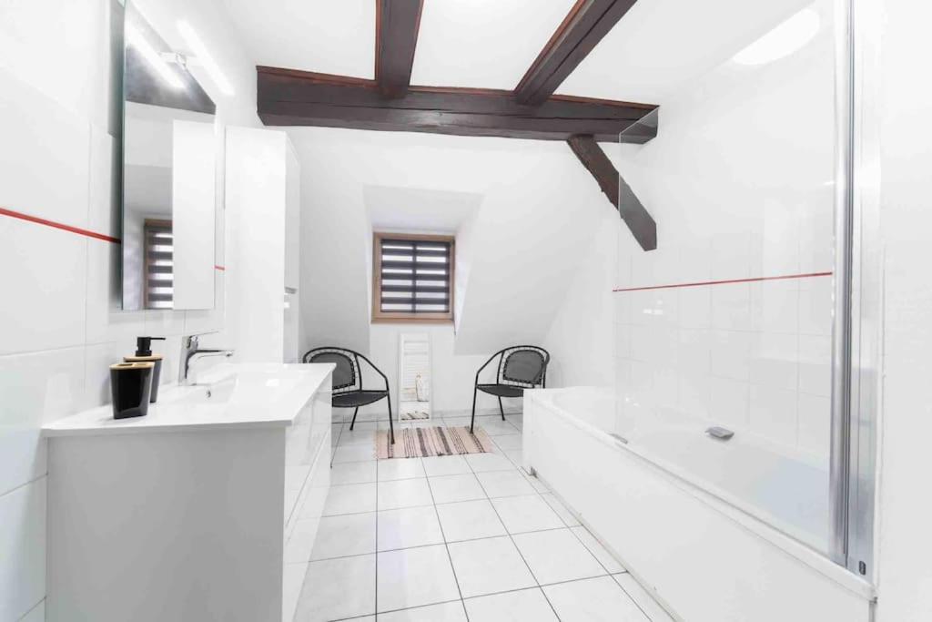 Les Lionceaux, 120M2 A Colmar, Place De Parking Gratuite Экстерьер фото