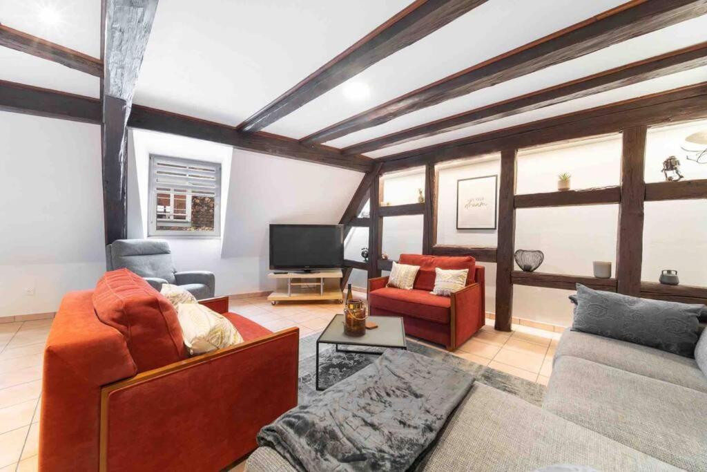 Les Lionceaux, 120M2 A Colmar, Place De Parking Gratuite Экстерьер фото