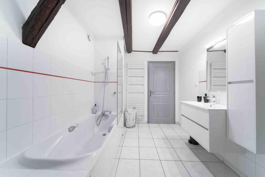 Les Lionceaux, 120M2 A Colmar, Place De Parking Gratuite Экстерьер фото