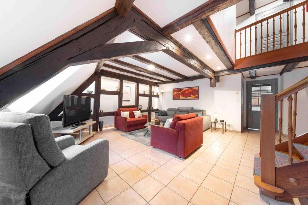 Les Lionceaux, 120M2 A Colmar, Place De Parking Gratuite Экстерьер фото