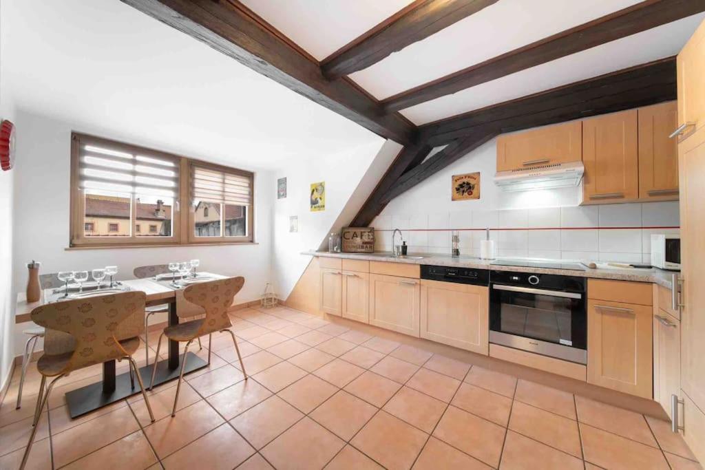 Les Lionceaux, 120M2 A Colmar, Place De Parking Gratuite Экстерьер фото