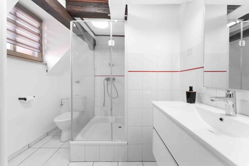 Les Lionceaux, 120M2 A Colmar, Place De Parking Gratuite Экстерьер фото